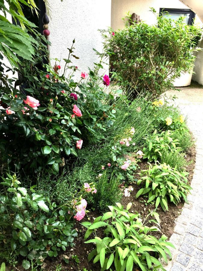 شقة Oppenheim Lofts المظهر الخارجي الصورة